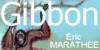 Gibbon