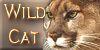 WildCat
