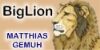 BigLion
