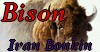 Bison